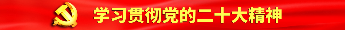 极品少萝自慰叫声超诱认真学习贯彻落实党的二十大会议精神